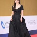 korean actress traditional dress 8k kollywood