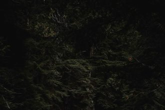 portrait wallpaper 8k dark home screen
