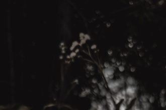 portrait wallpaper 1080p moody home screen