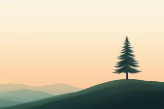 portrait wallpaper 8k minimal desktop