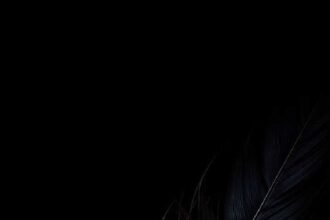 portrait wallpaper full hd black iphone