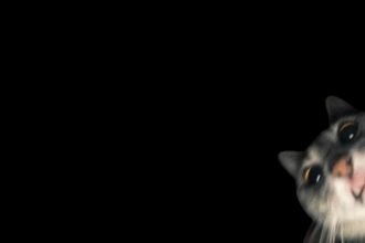 portrait wallpaper 8k black tablet