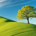 portrait wallpaper full hd nature pc