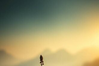 portrait wallpaper hd nature iphone