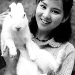 japanese actress candid hd hollywood