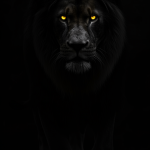 portrait wallpaper 8k black home screen