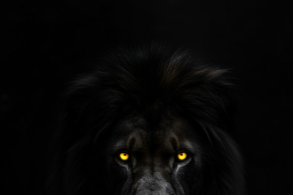 portrait wallpaper 8k black home screen