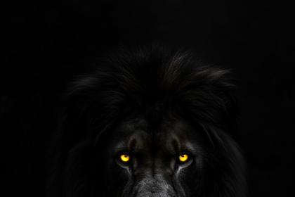 portrait wallpaper 8k black home screen