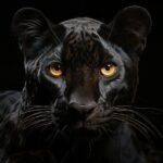 portrait wallpaper hd moody pc