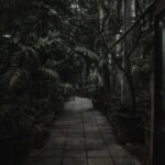 portrait wallpaper hd moody home screen