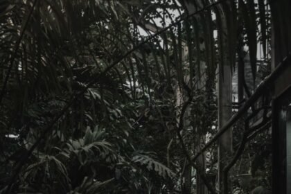 portrait wallpaper hd moody home screen