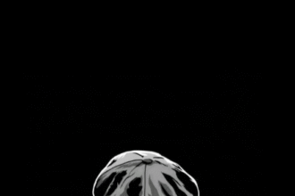 portrait wallpaper hd dark android