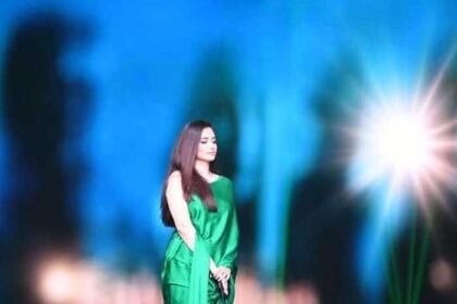pakistani actress award show 4k bollywood