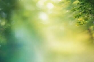 portrait wallpaper 1080p nature background