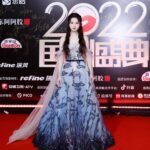 chinese actress red carpet ultra hd kdrama