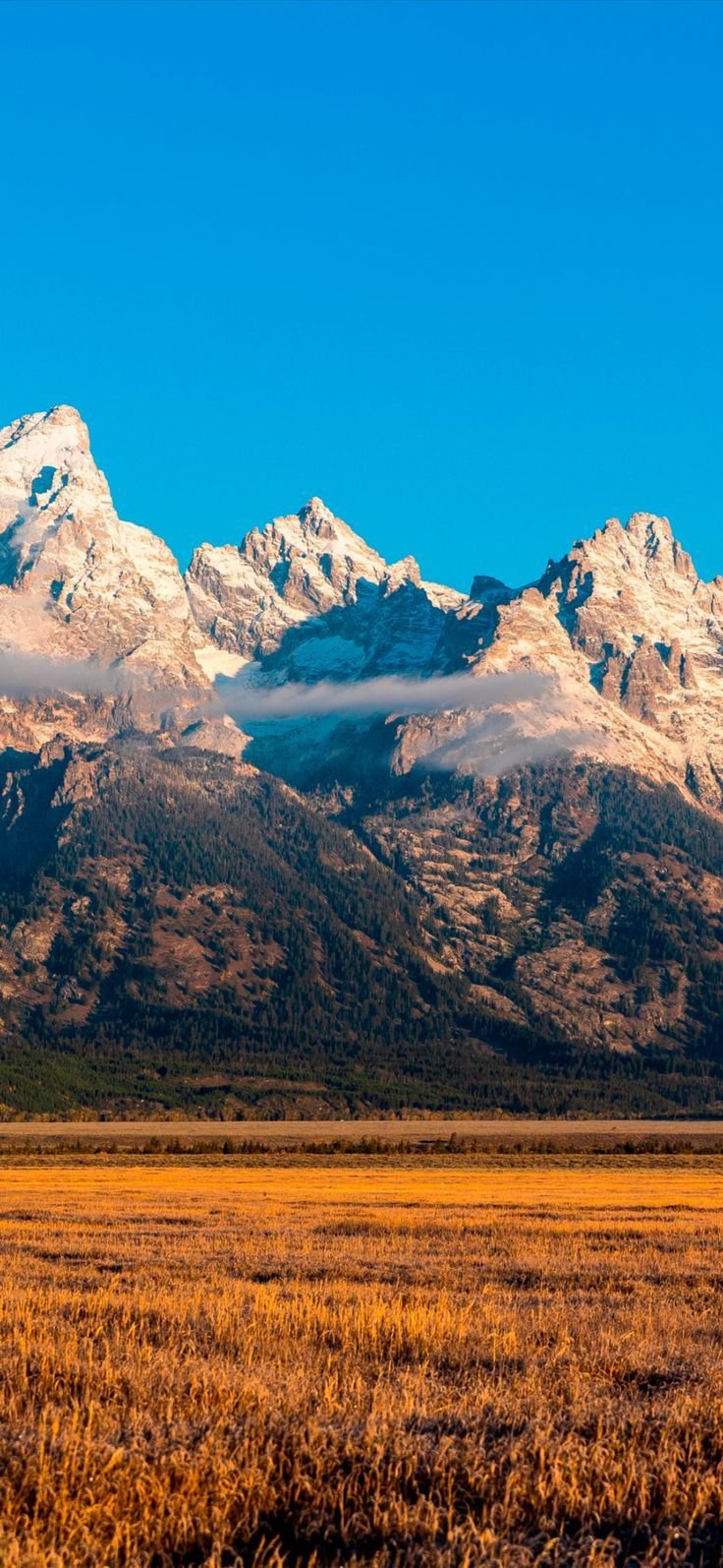 portrait wallpaper hd nature android