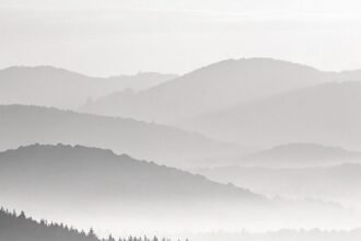 portrait wallpaper 8k minimal phone