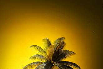 portrait wallpaper ultra hd nature phone