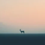 portrait wallpaper hd minimal desktop