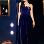 vietnamese actress award show 8k european cinema